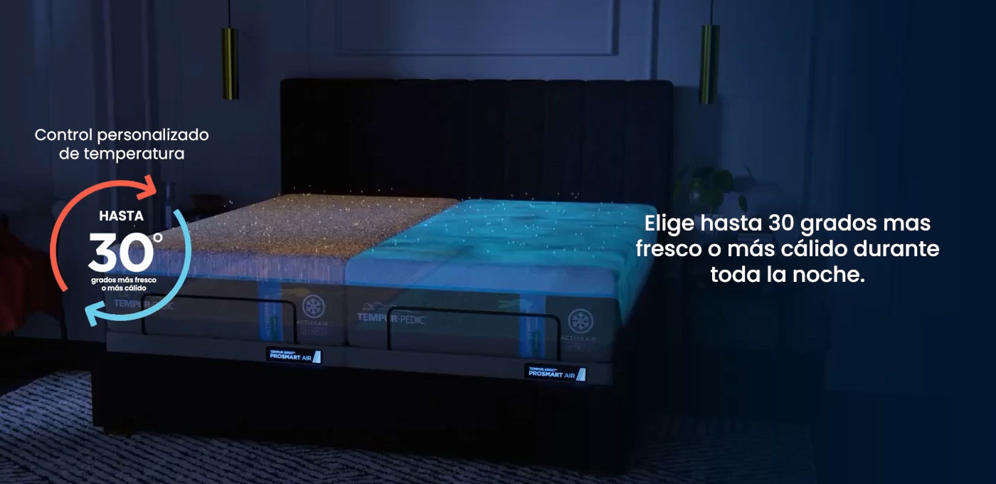 Control Personalizado de temperatura